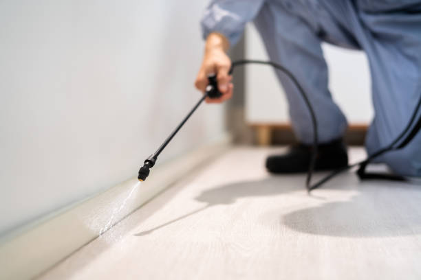 Licensed Rodent Control service in Hooker County County, NE - Nex Pest Control